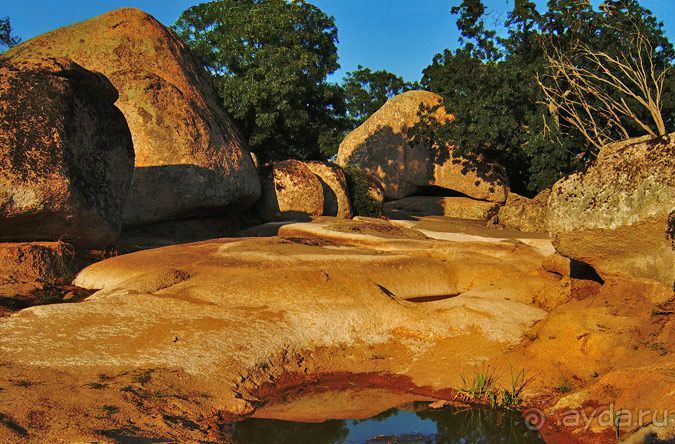 фото Приморско