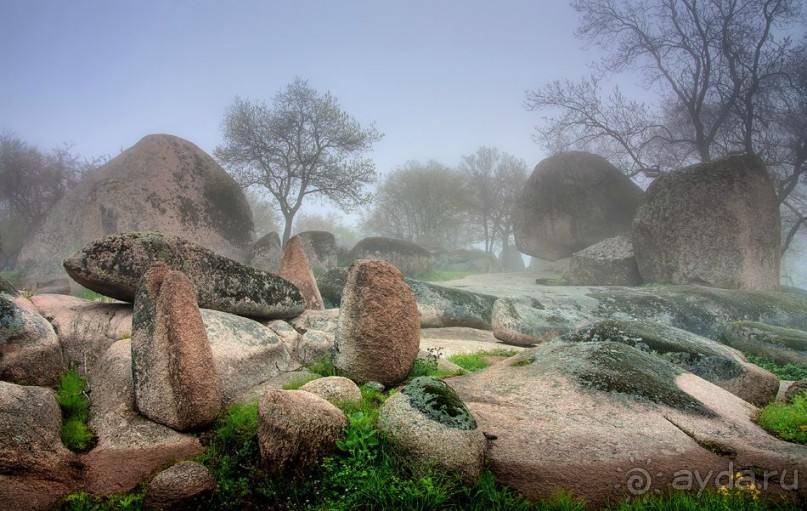 фото Приморско