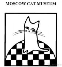 1 МАРТА ВСЕМИРНЫЙ ДЕНЬ КОШКИ!