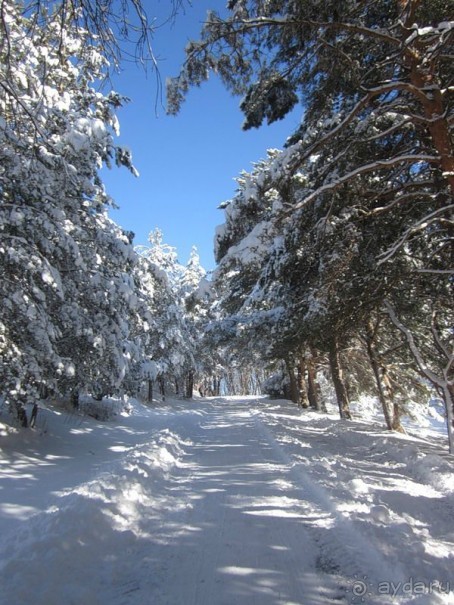 Отличный санаторий Колос в Кисловодске!