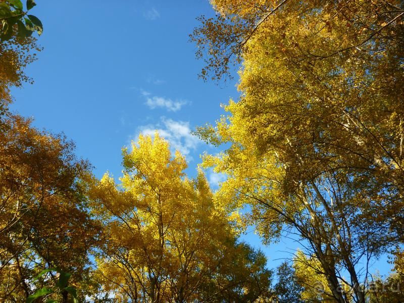 санаторий Колос в Кисловодск - отличный отдых!