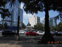 КОГДА ЛИМОНЫ ПАДАЮТ С НЕБА. Часть2-1. Мехико.