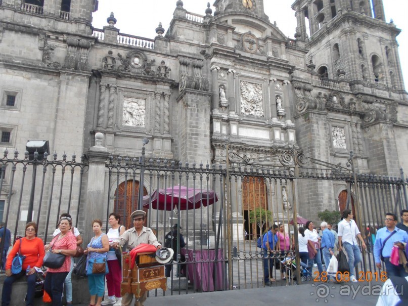 КОГДА ЛИМОНЫ ПАДАЮТ С НЕБА. Часть2-1. Мехико.