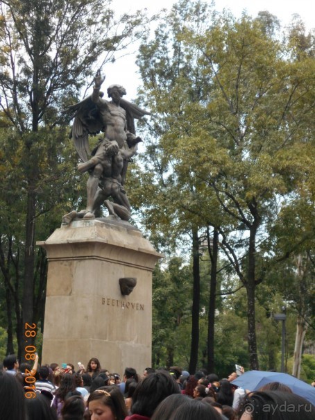 КОГДА ЛИМОНЫ ПАДАЮТ С НЕБА. Часть2-1. Мехико.