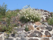 КОГДА ЛИМОНЫ ПАДАЮТ С НЕБА. Часть1. Теутиуакан.