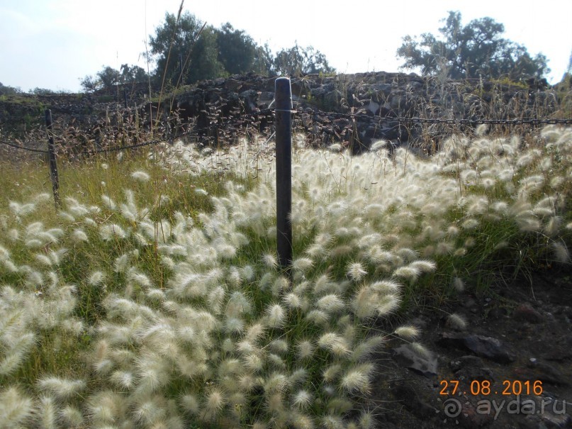 КОГДА ЛИМОНЫ ПАДАЮТ С НЕБА. Часть1. Теутиуакан.