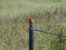 КОГДА ЛИМОНЫ ПАДАЮТ С НЕБА. Часть1. Теутиуакан.