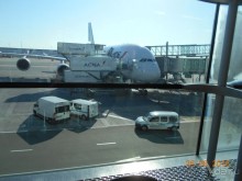 КОГДА ЛИМОНЫ ПАДАЮТ С НЕБА. Часть1. Теутиуакан.