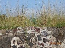 КОГДА ЛИМОНЫ ПАДАЮТ С НЕБА. Часть1. Теутиуакан.