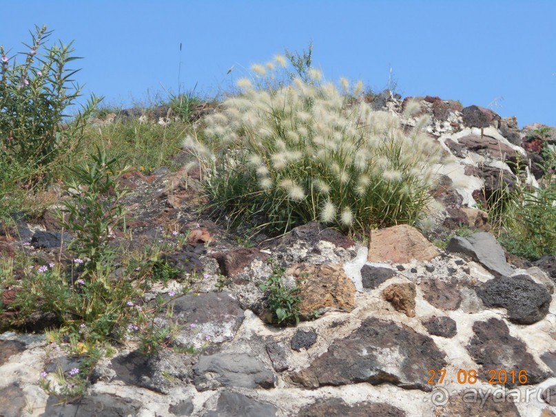 КОГДА ЛИМОНЫ ПАДАЮТ С НЕБА. Часть1. Теутиуакан.