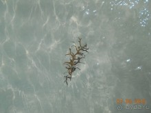 3 Канкуна. Часть 1. Тихая гавань и Чичен-Ица