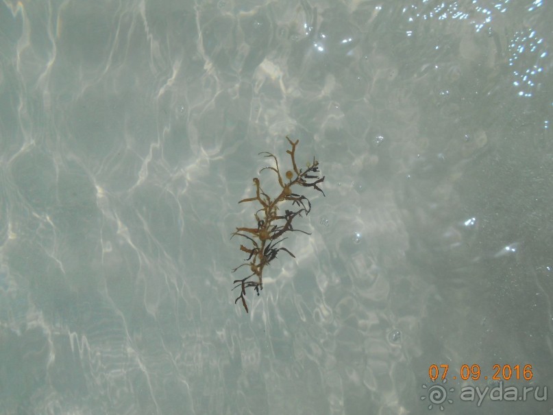 3 Канкуна. Часть 1. Тихая гавань и Чичен-Ица