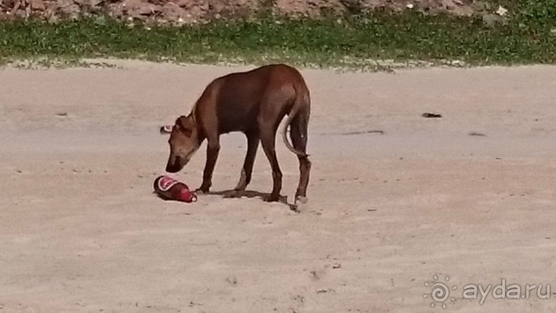 Гоанские бусинки. Южное Гоа, Колва