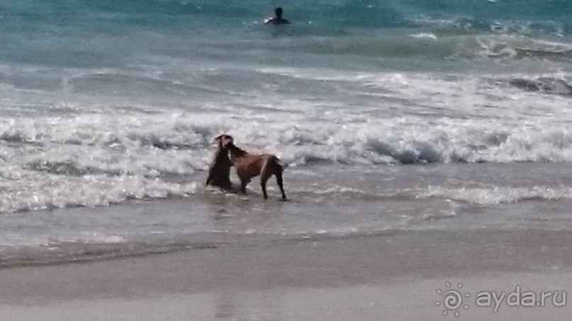 Гоанские бусинки. Южное Гоа, Колва