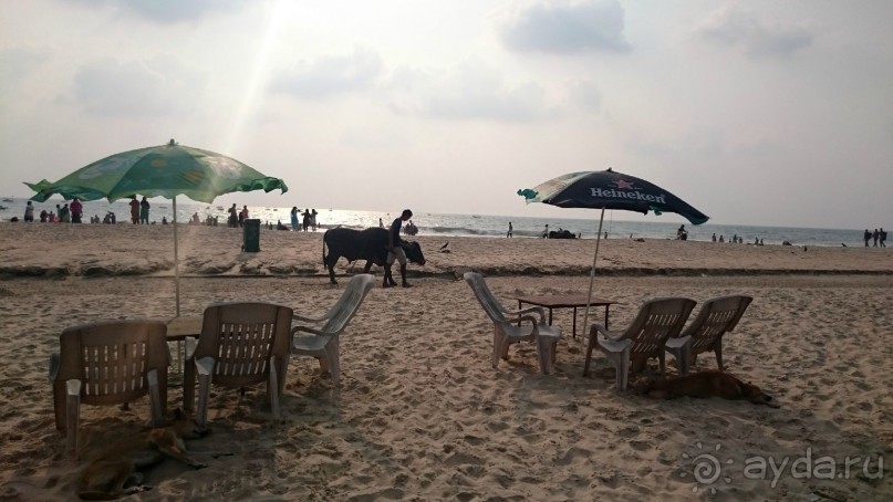 Гоанские бусинки. Южное Гоа, Колва