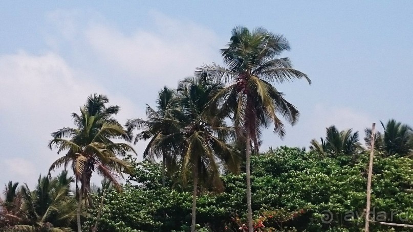 Гоанские бусинки. Южное Гоа, Колва