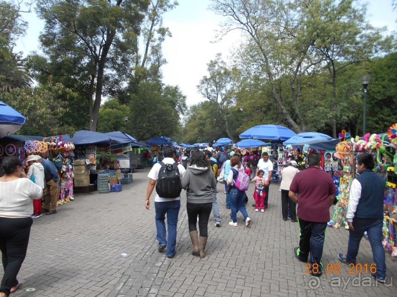 Альбом отзыва "КОГДА ЛИМОНЫ ПАДАЮТ С НЕБА. Часть2-2. Мехико."