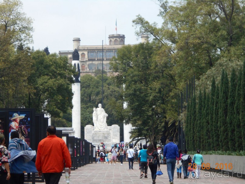 Альбом отзыва "КОГДА ЛИМОНЫ ПАДАЮТ С НЕБА. Часть2-2. Мехико."