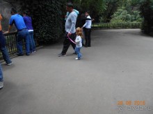 КОГДА ЛИМОНЫ ПАДАЮТ С НЕБА. Часть2-2. Мехико.