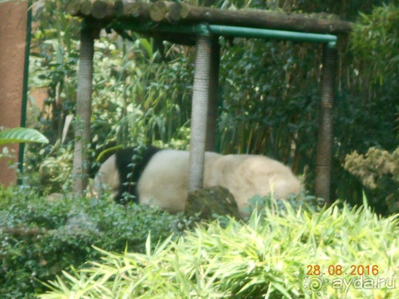 КОГДА ЛИМОНЫ ПАДАЮТ С НЕБА. Часть2-2. Мехико.