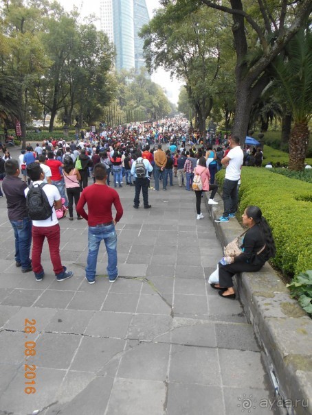 Альбом отзыва "КОГДА ЛИМОНЫ ПАДАЮТ С НЕБА. Часть2-2. Мехико."