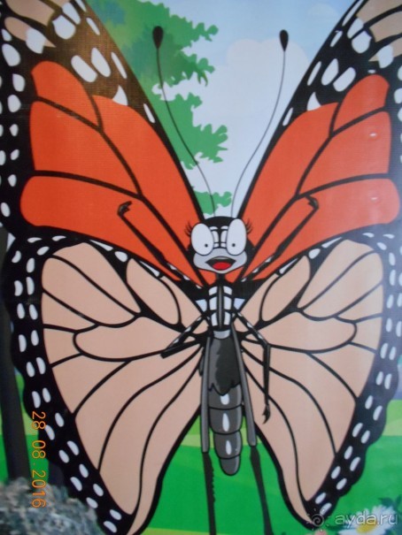 КОГДА ЛИМОНЫ ПАДАЮТ С НЕБА. Часть2-2. Мехико.