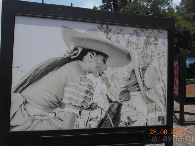 КОГДА ЛИМОНЫ ПАДАЮТ С НЕБА. Часть2-2. Мехико.