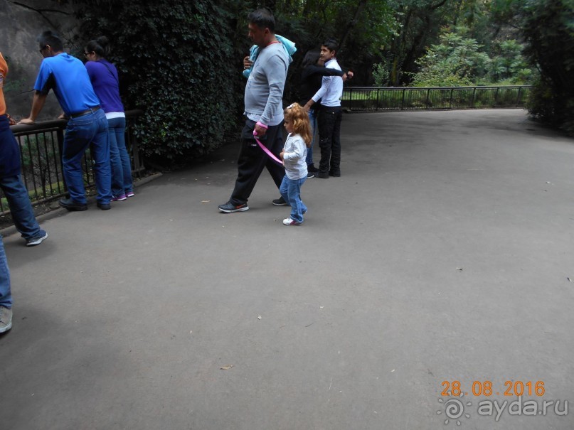 КОГДА ЛИМОНЫ ПАДАЮТ С НЕБА. Часть2-2. Мехико.