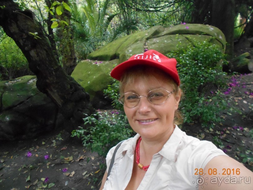 КОГДА ЛИМОНЫ ПАДАЮТ С НЕБА. Часть2-2. Мехико.