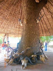 фото Занзибара