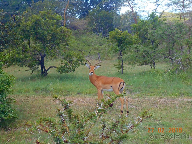 Просто Занзибар