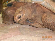 Просто Занзибар