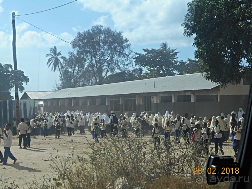 Просто Занзибар