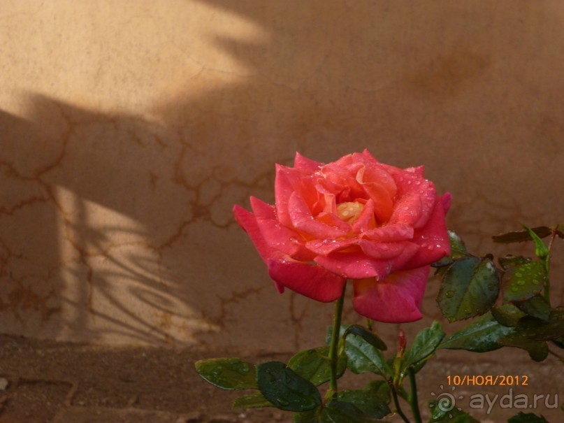 М-о-роки Марокко. Часть 2. Марракеш.