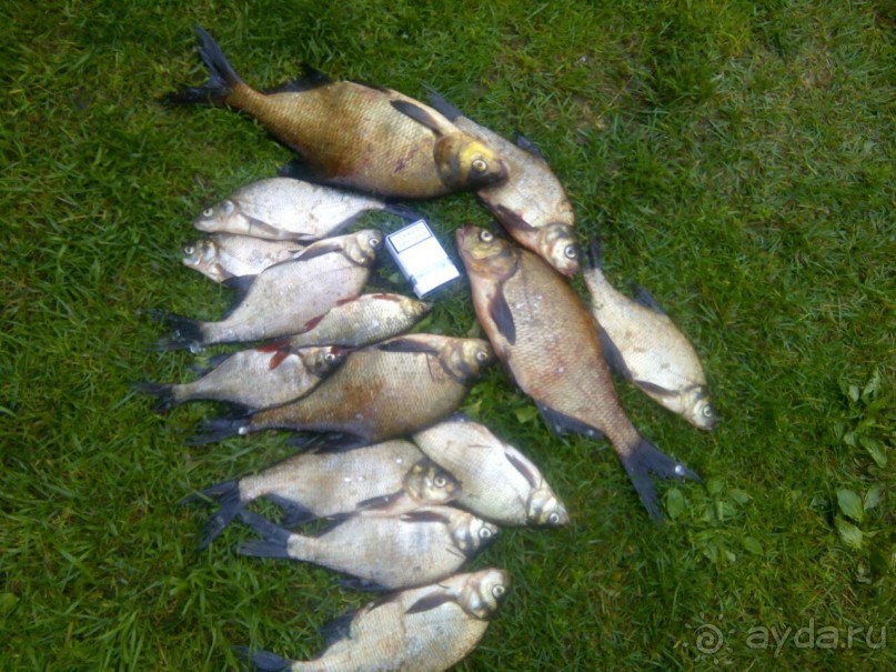 Опять в Ботово! Опять в Ботово!