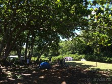 Жизнь кемпера на острове Мауи, Гавайи