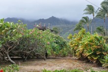 Жизнь кемпера на острове Мауи, Гавайи