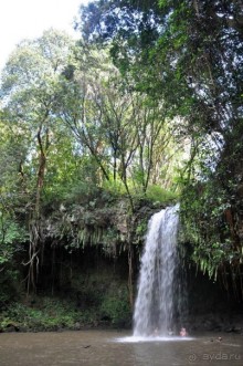 Жизнь кемпера на острове Мауи, Гавайи