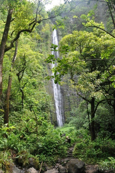 Жизнь кемпера на острове Мауи, Гавайи