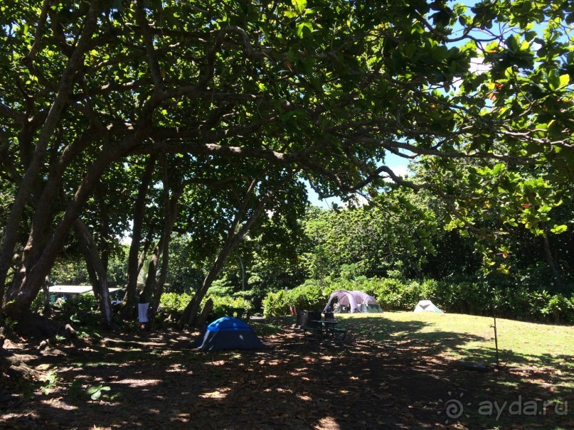 Жизнь кемпера на острове Мауи, Гавайи