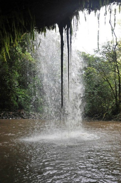 Жизнь кемпера на острове Мауи, Гавайи