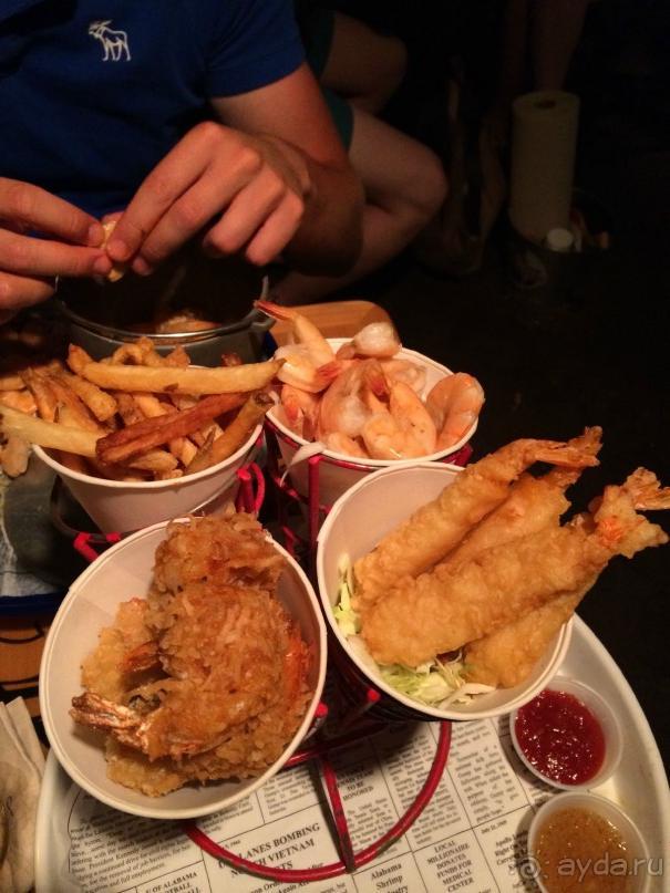 Жизнь кемпера на острове Мауи, Гавайи