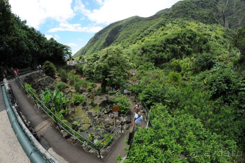 Жизнь кемпера на острове Мауи, Гавайи