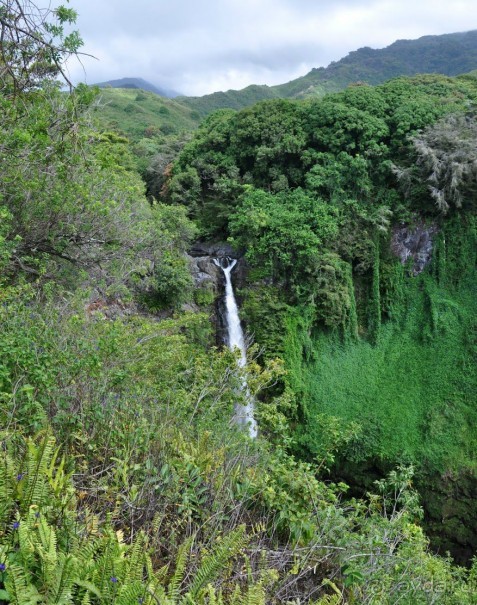 Жизнь кемпера на острове Мауи, Гавайи