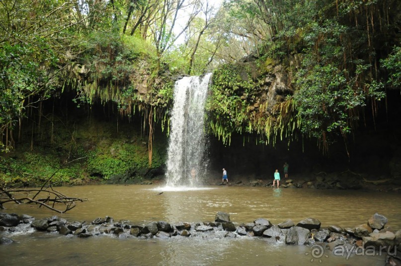 Жизнь кемпера на острове Мауи, Гавайи