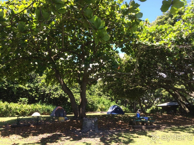 Жизнь кемпера на острове Мауи, Гавайи