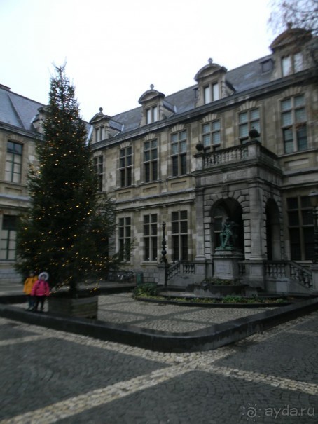 Библиотека