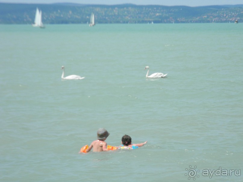 Чудесный отдых в Венгрии