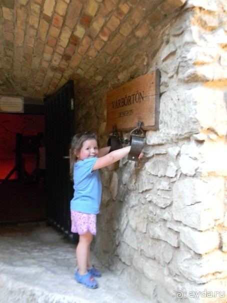 Чудесный отдых в Венгрии