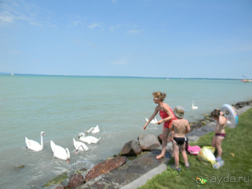 Чудесный отдых в Венгрии